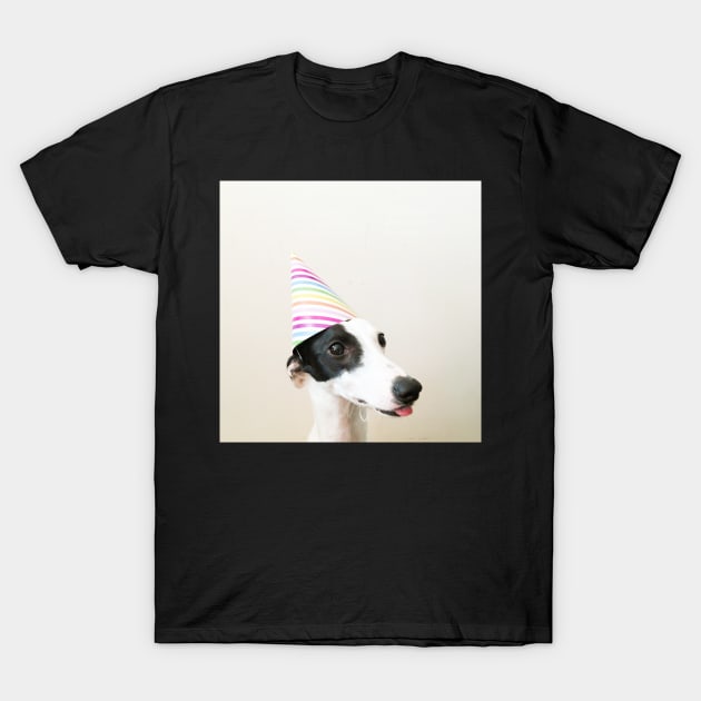 Party Pooper T-Shirt by Cassia